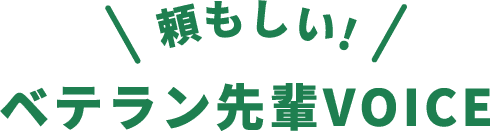 頼もしい！ベテラン先輩VOICE